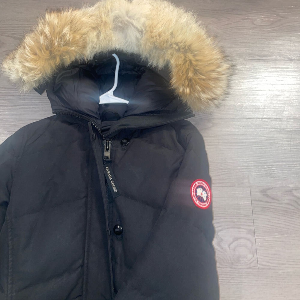 Black Cananada Goose. - Picture 3 of 6